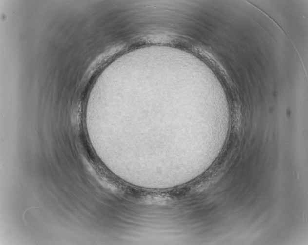 X0000085280586200704092208