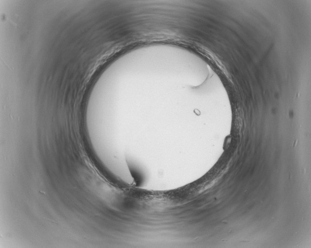 X0000085280589200704092208