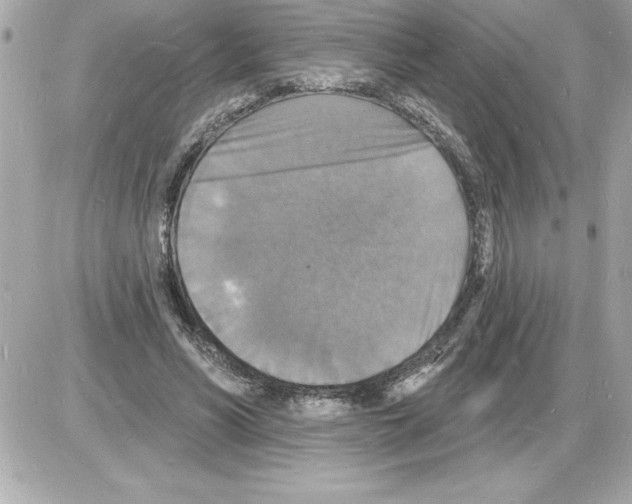 X0000085280590200704092208