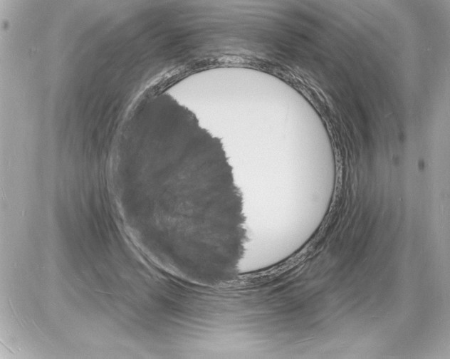 X0000085280591200704092208