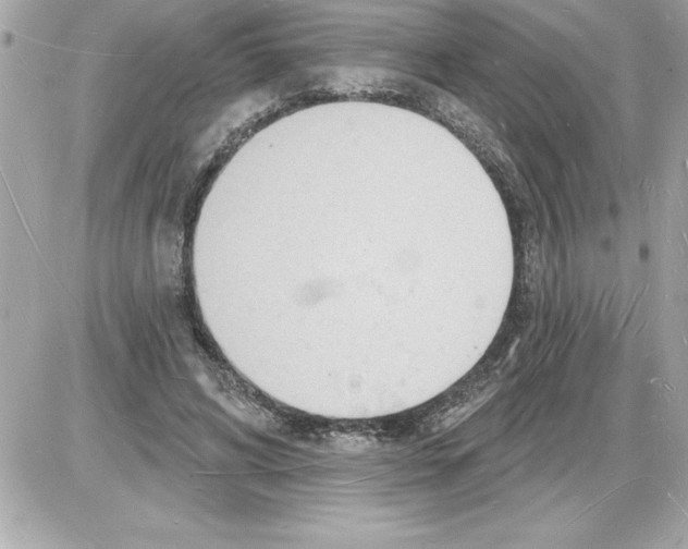 X0000085280592200704092208