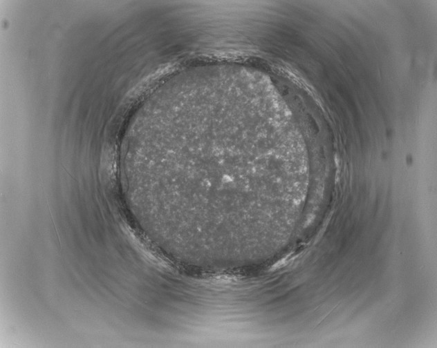 X0000085280593200704092208