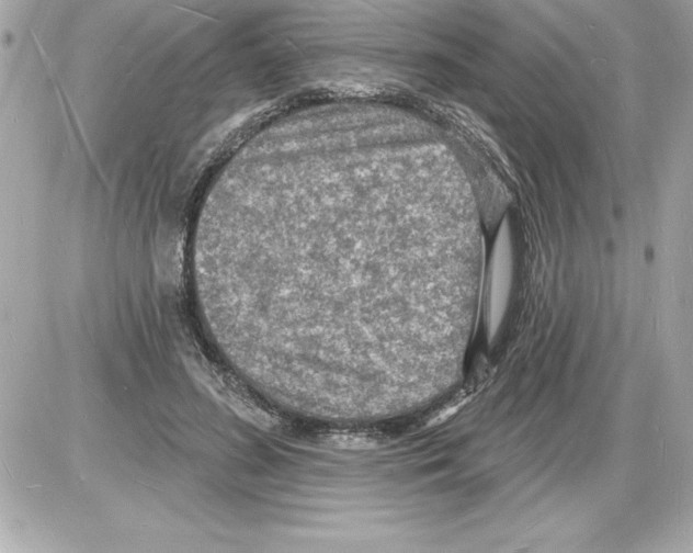 X0000085280596200704092208