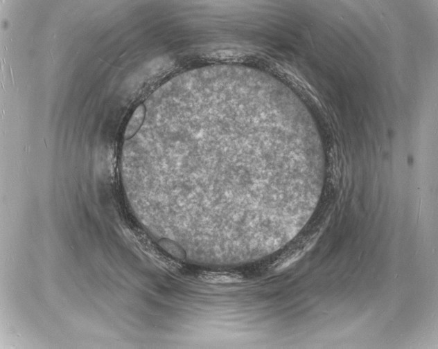 X0000085280597200704092208