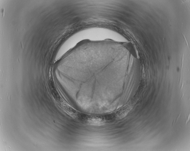 X0000085280598200704092208