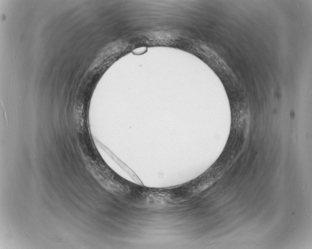 X0000085280599200704092208