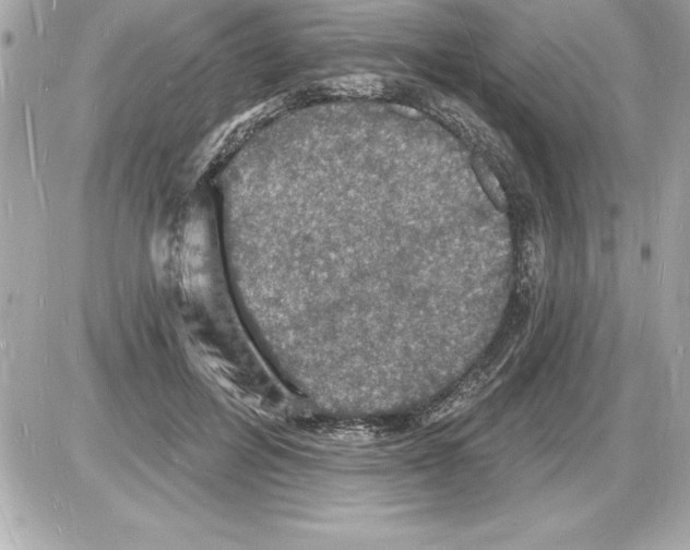 X0000085280600200704092208