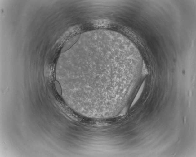 X0000085280601200704092208