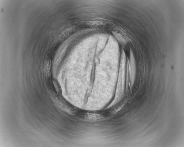 X0000085280605200704092208