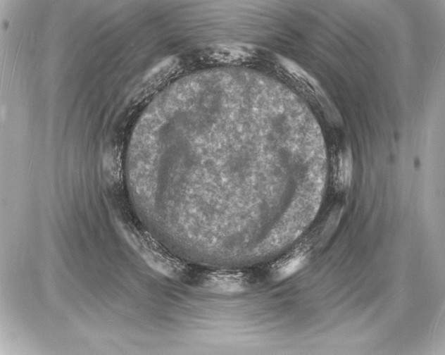 X0000085280606200704092208