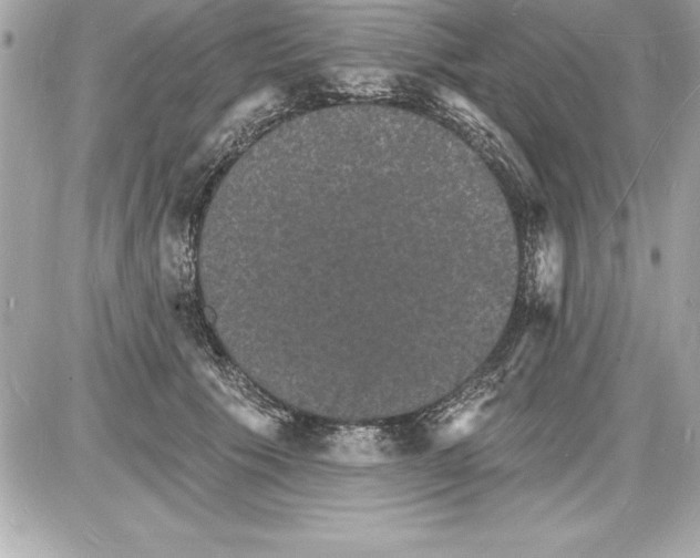 X0000085280609200704092208