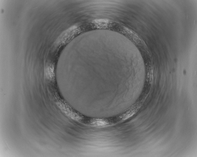 X0000085280610200704092208