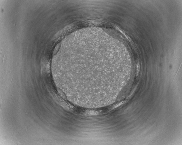 X0000085280613200704092208