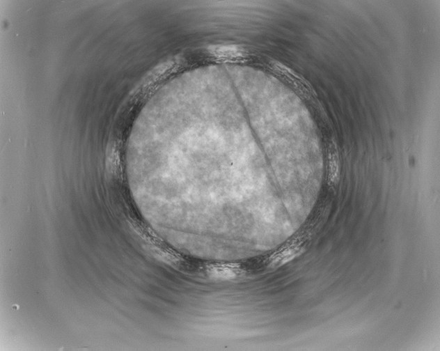 X0000085280618200704092208