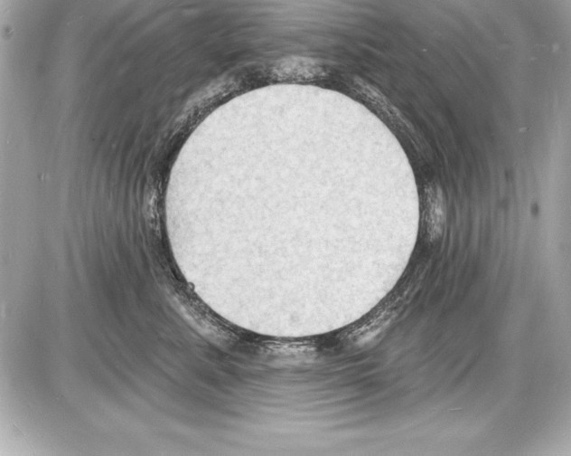 X0000085280619200704092208