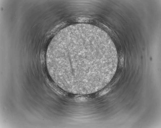 X0000085280620200704092208