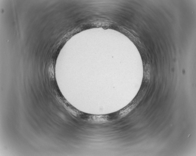 X0000085280622200704092208