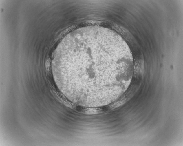 X0000085280623200704092208