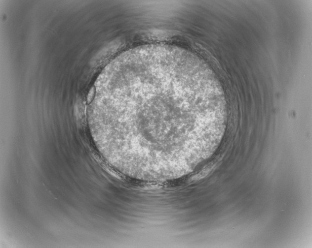 X0000085280624200704092208