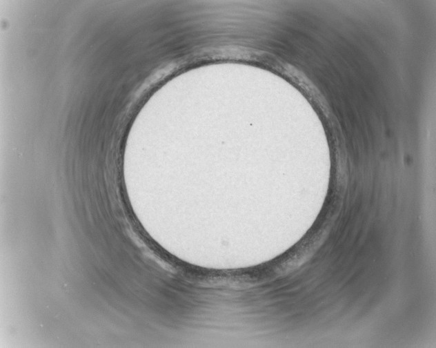 X0000085280625200704092207