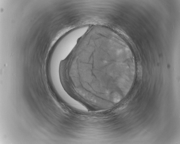 X0000085280626200704092207