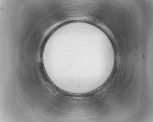 X0000085280628200704092207