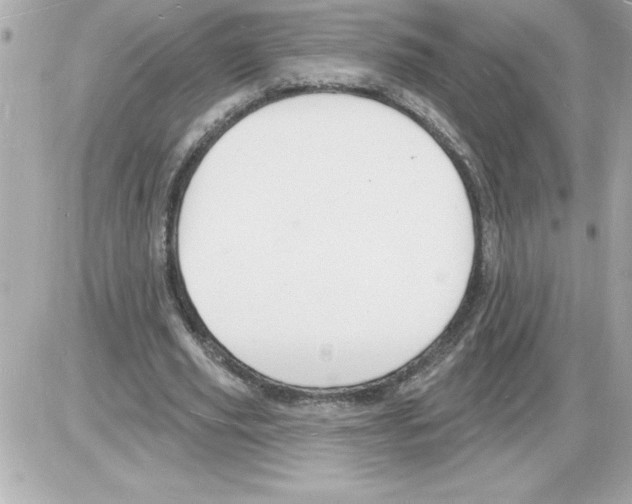 X0000085280629200704092207