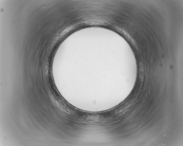 X0000085280631200704092207