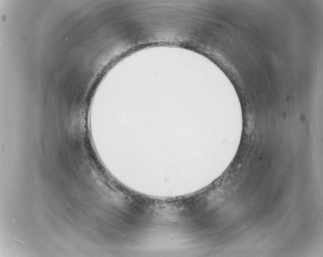 X0000085280632200704092207