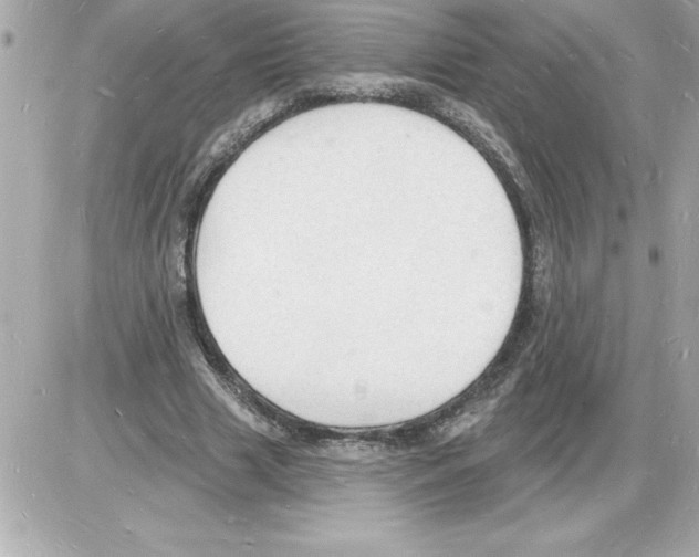 X0000085280633200704092207