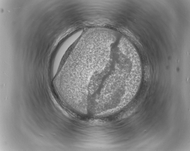 X0000085280634200704092207