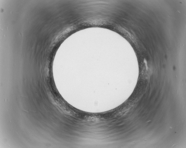 X0000085280635200704092207