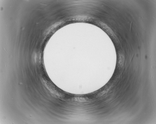 X0000085280636200704092207