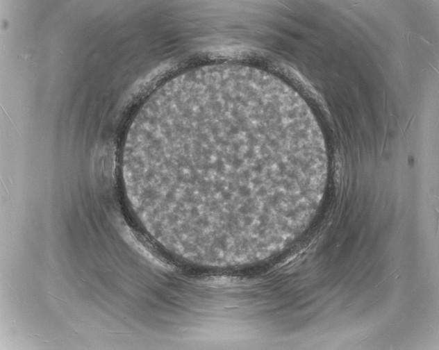 X0000085280637200704092207