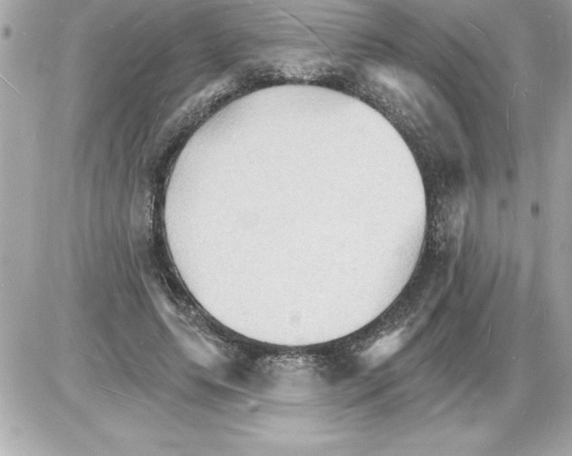 X0000085280639200704092207