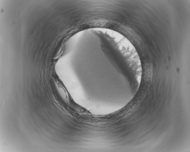 X0000085280641200704092207