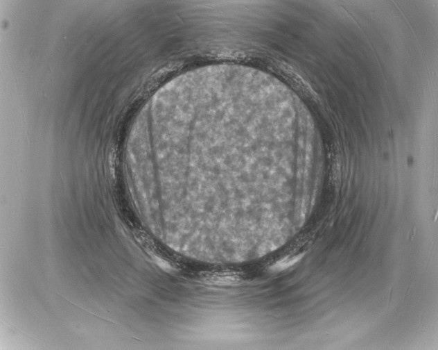 X0000085280643200704092207