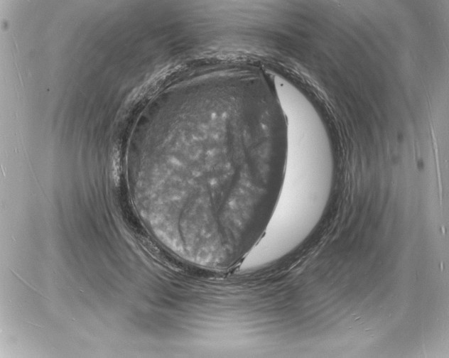 X0000085280644200704092207