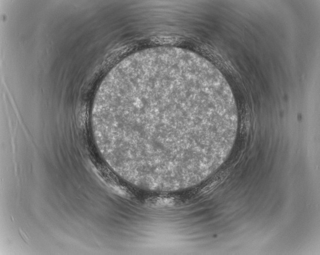 X0000085280647200704092207