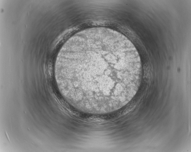 X0000085280648200704092207