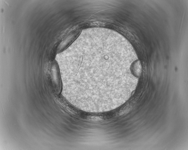 X0000085280649200704092207