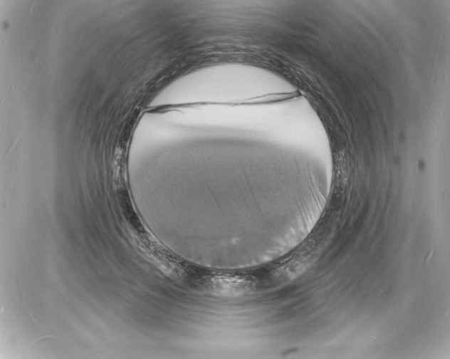 X0000085280650200704092207