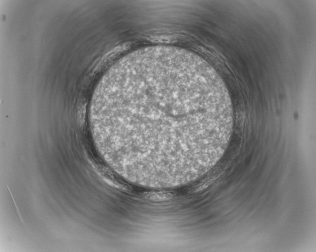 X0000085280652200704092208