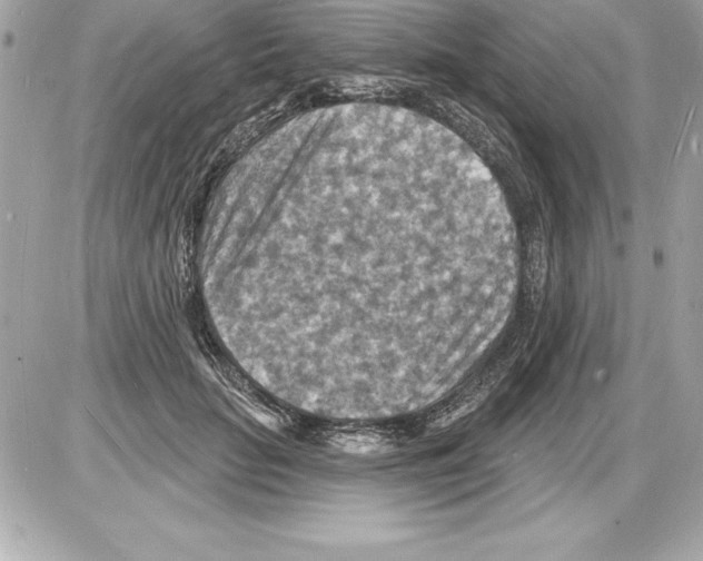 X0000085280653200704092208