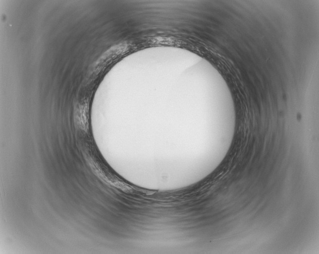 X0000085280654200704092208