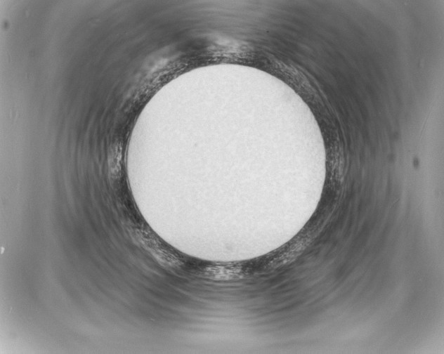 X0000085280660200704092208