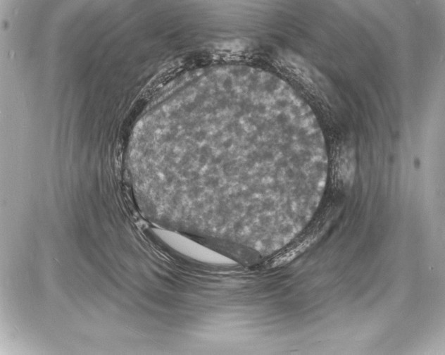 X0000085280661200704092208