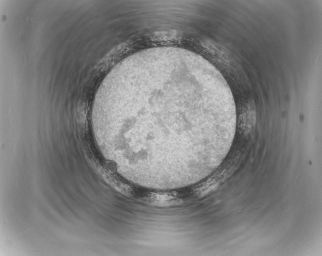 X0000085280662200704092208