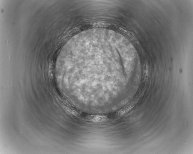 X0000085280663200704092208