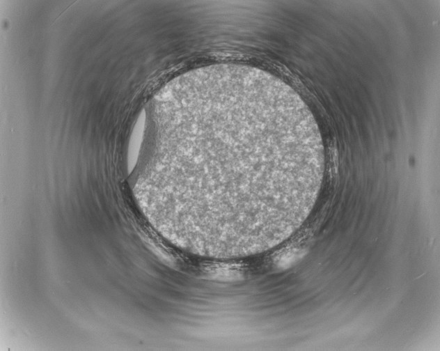 X0000085280664200704092208